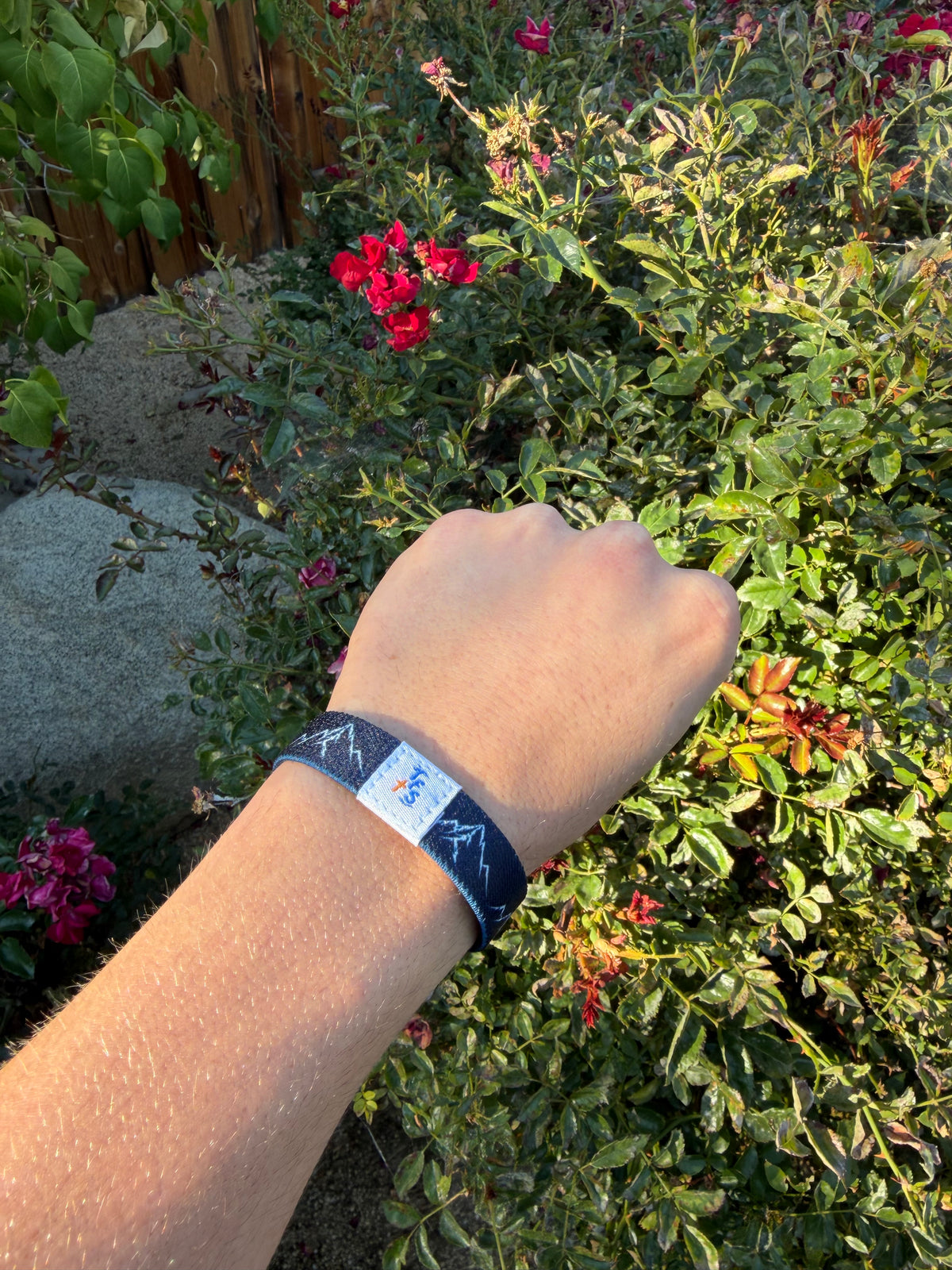 Matthew 17:20 Wristband